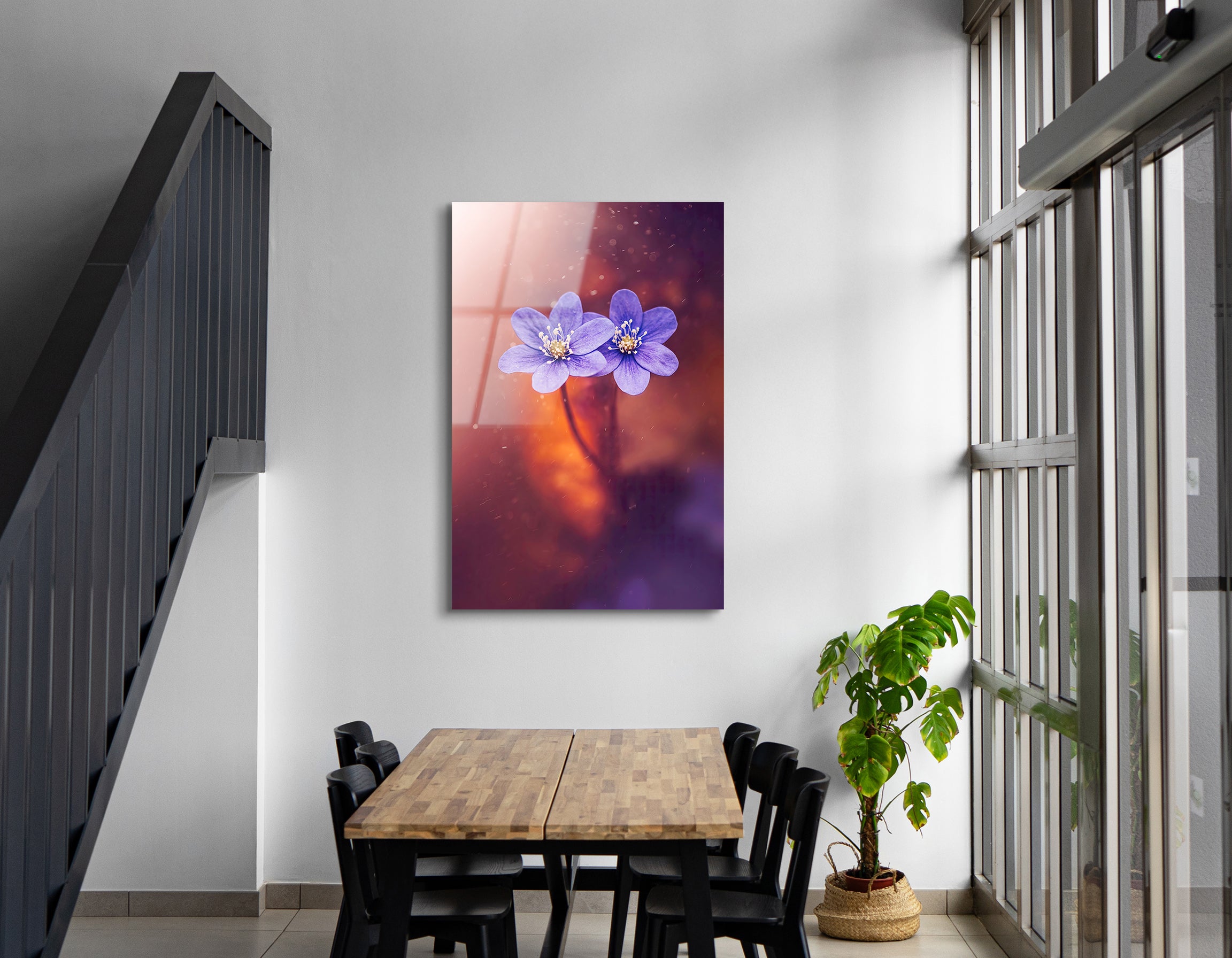 Purple Anemone Flowers with Magical Light | Premium HD Metal Wall Art