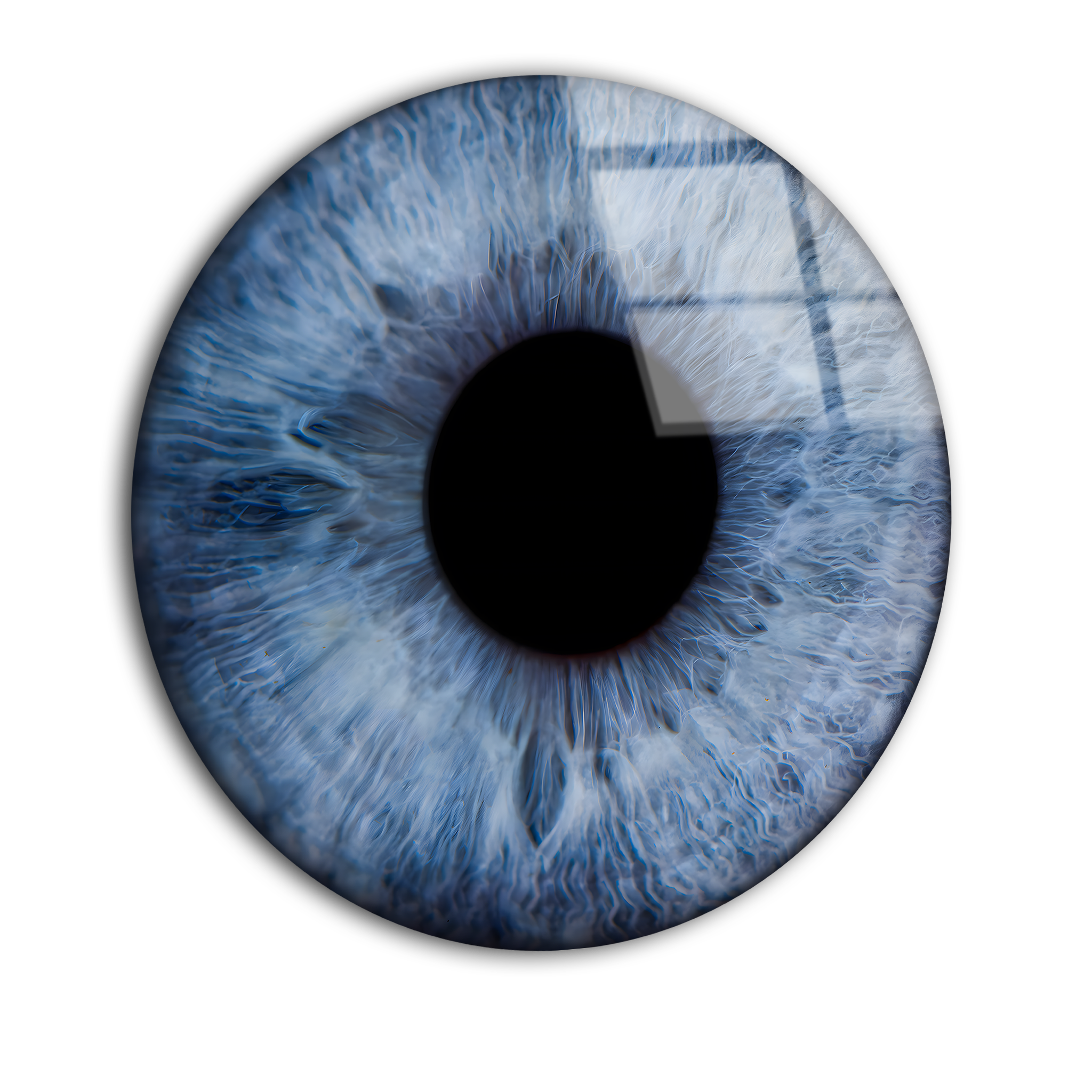 Round Eye Close-Up | Premium HD Metal Wall Art