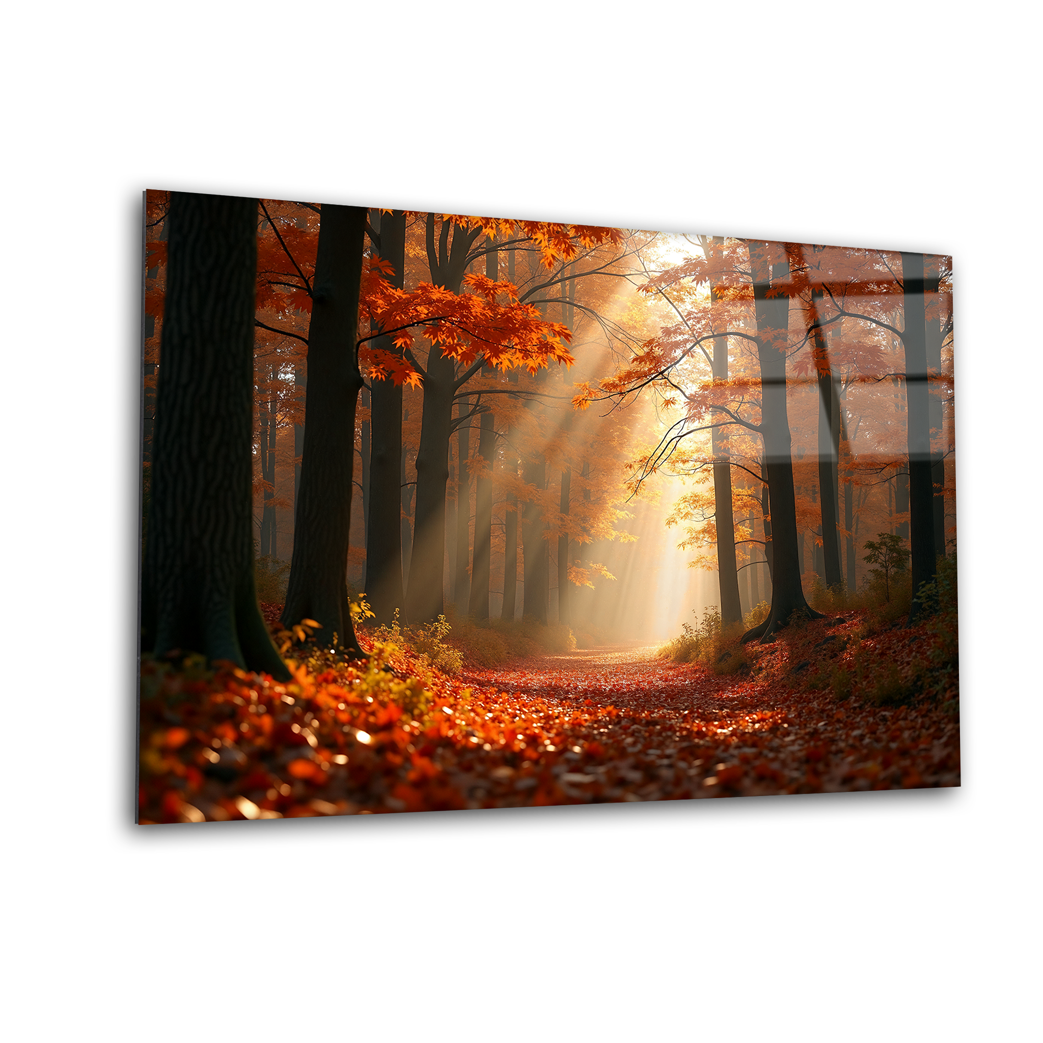 Autumn Forest Alley | Premium HD Metal Wall Art